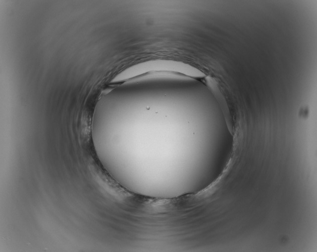 X0000111670186200908071506