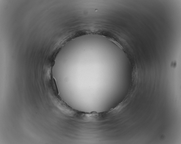 X0000111670188200908071506