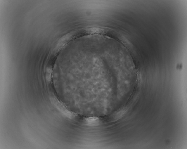 X0000111670189200908071506