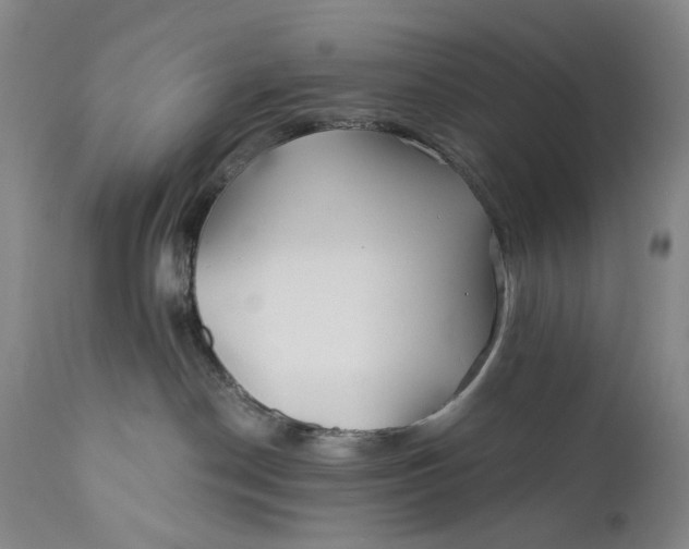 X0000111670190200908071506