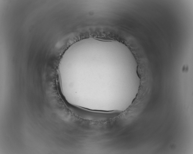 X0000111670192200908071506