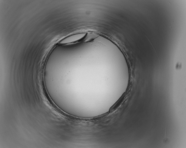 X0000111670193200908071505