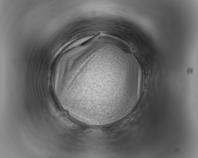 X0000111670194200908071505