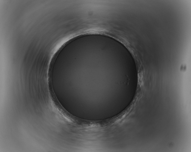 X0000111670196200908071505