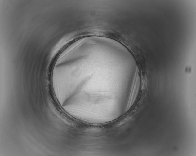 X0000111670198200908071505