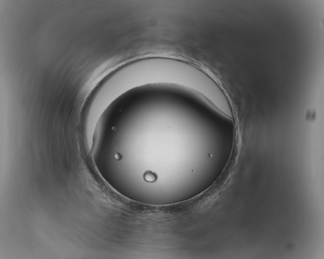 X0000111670199200908071505