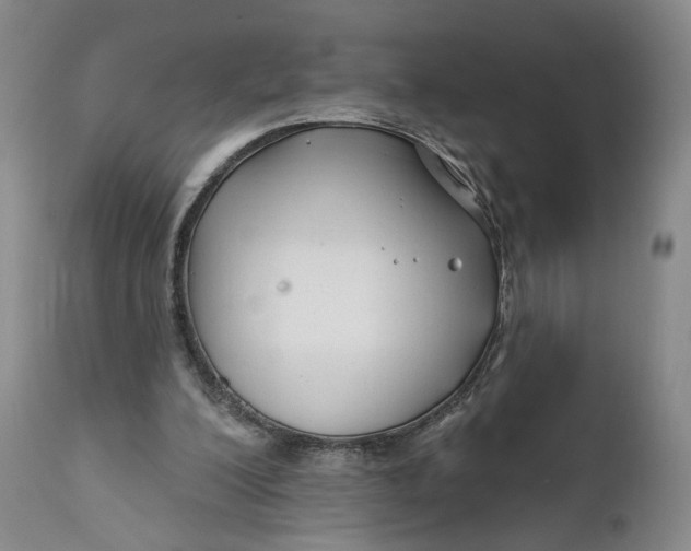 X0000111670200200908071505