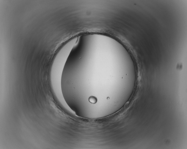 X0000111670201200908071505