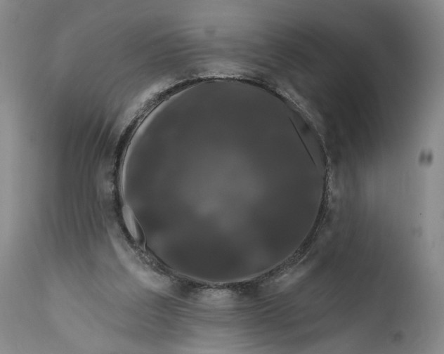 X0000111670203200908071505