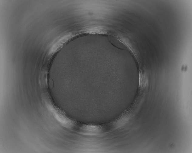 X0000111670205200908071505