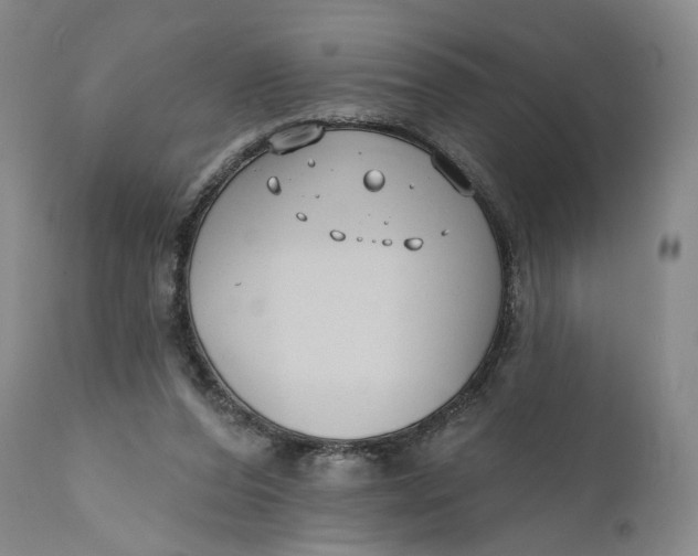 X0000111670208200908071505