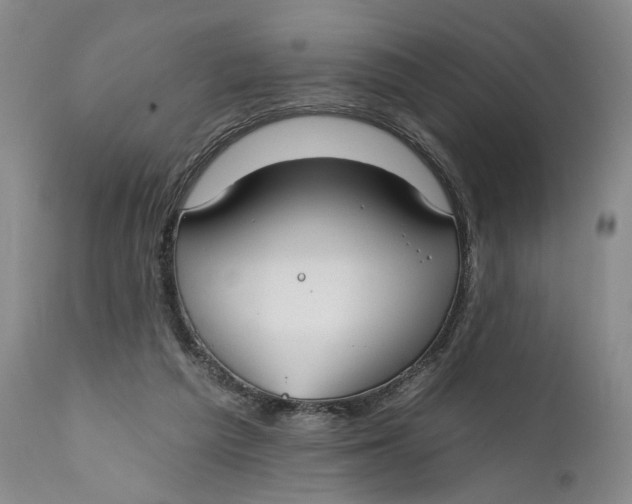 X0000111670209200908071505