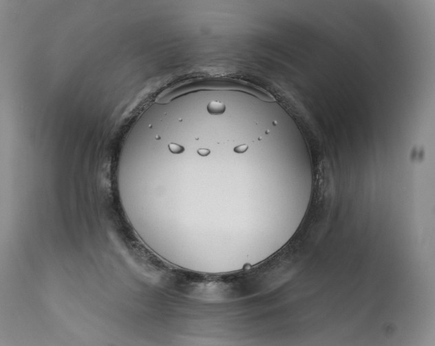 X0000111670212200908071505