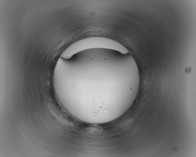 X0000111670215200908071505