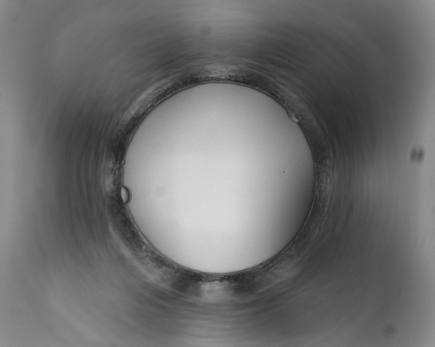 X0000111670216200908071505