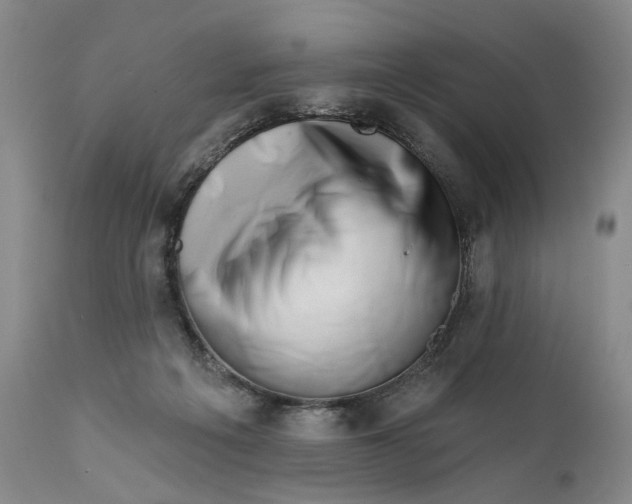 X0000111670217200908071505