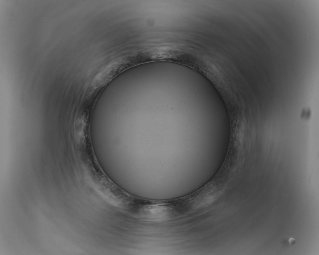 X0000111670219200908071505