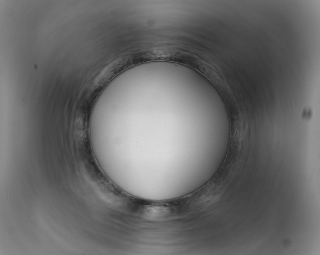 X0000111670220200908071505