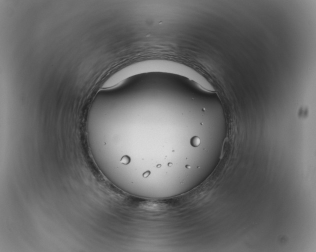 X0000111670221200908071505