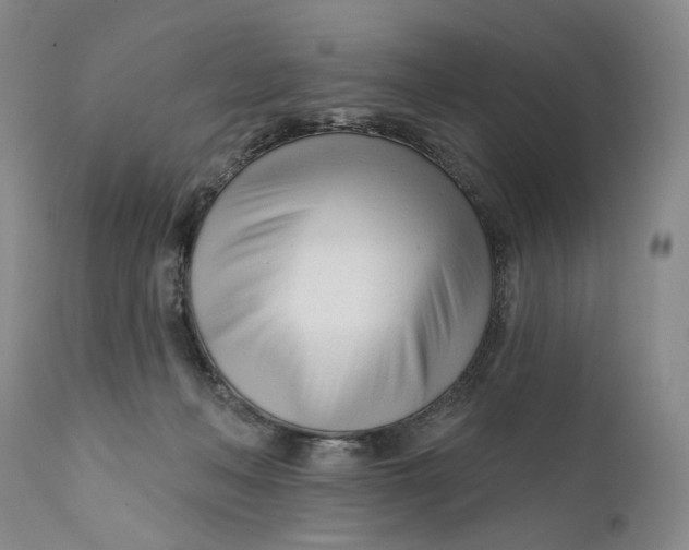 X0000111670222200908071505