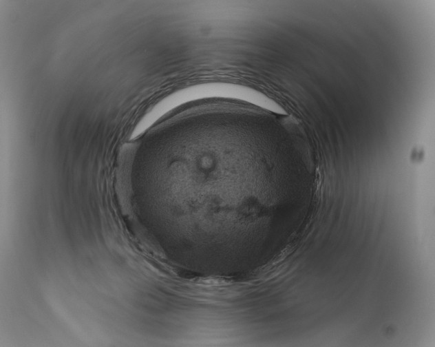 X0000111670223200908071505