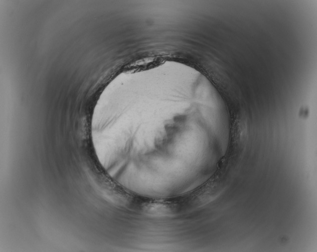 X0000111670224200908071505