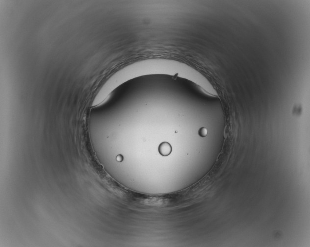 X0000111670225200908071505