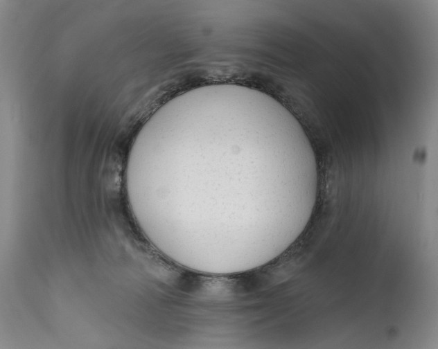 X0000111670226200908071505