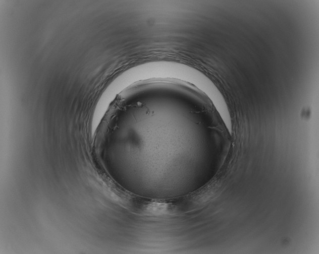 X0000111670227200908071505