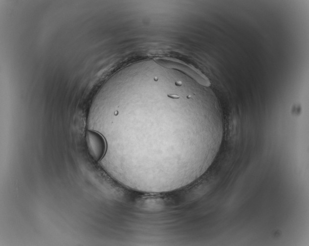 X0000111670228200908071505