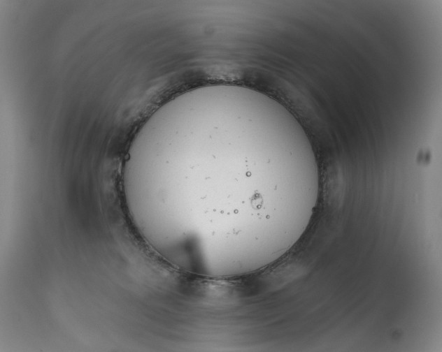 X0000111670229200908071505