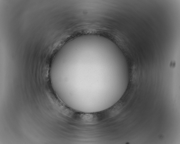 X0000111670230200908071505