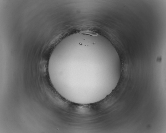 X0000111670232200908071505