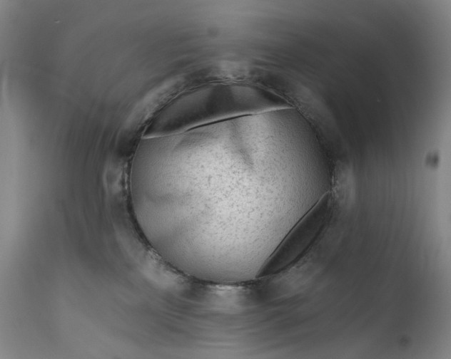 X0000111670233200908071505