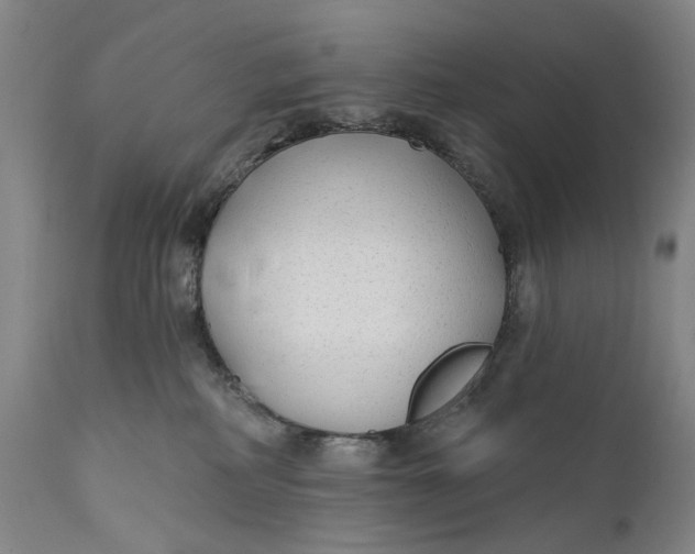 X0000111670234200908071505