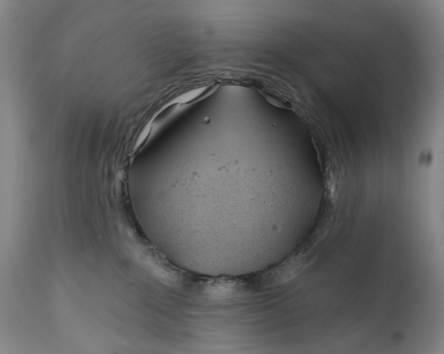 X0000111670235200908071505