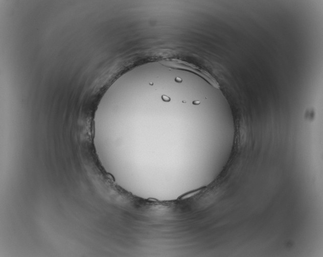 X0000111670236200908071505