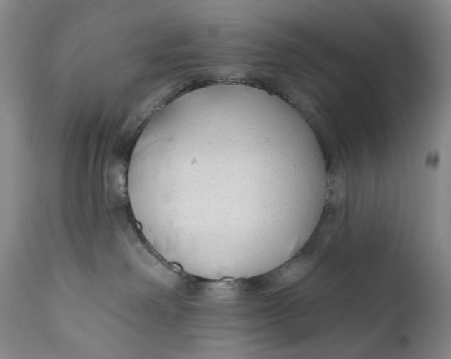 X0000111670238200908071505