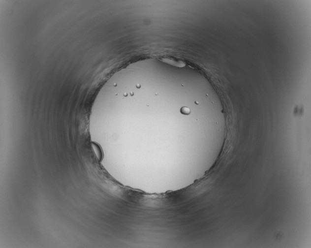 X0000111670240200908071505