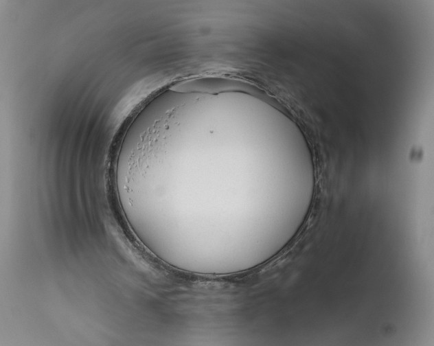 X0000111670242200908071504