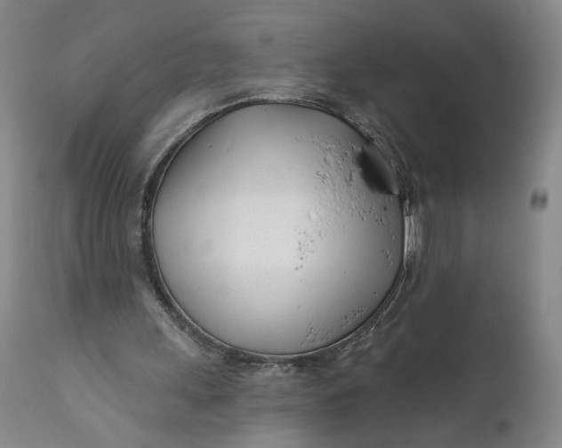 X0000111670243200908071504