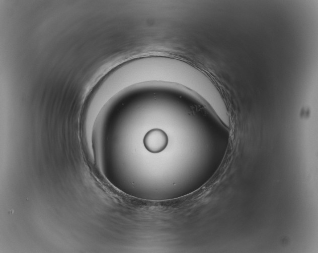 X0000111670244200908071504