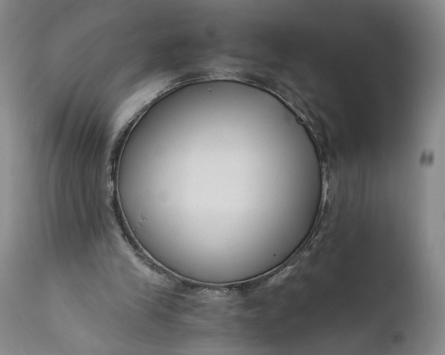 X0000111670245200908071504