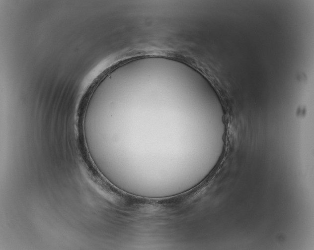 X0000111670246200908071504