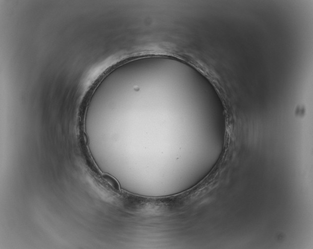 X0000111670248200908071504