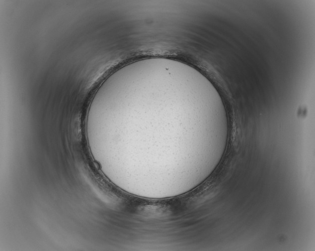 X0000111670251200908071504