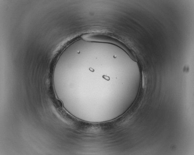 X0000111670252200908071504