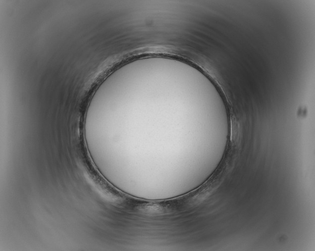 X0000111670253200908071504