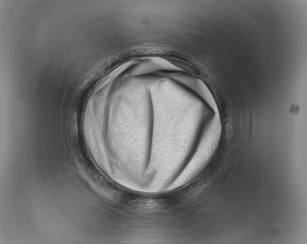 X0000111670254200908071504