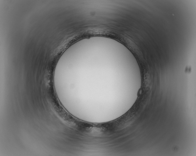 X0000111670255200908071504